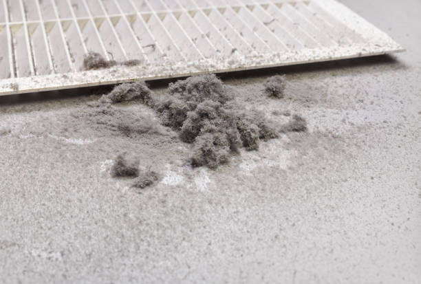 Best Air Duct Cleaning Company Near Me  in Scott Af, IL