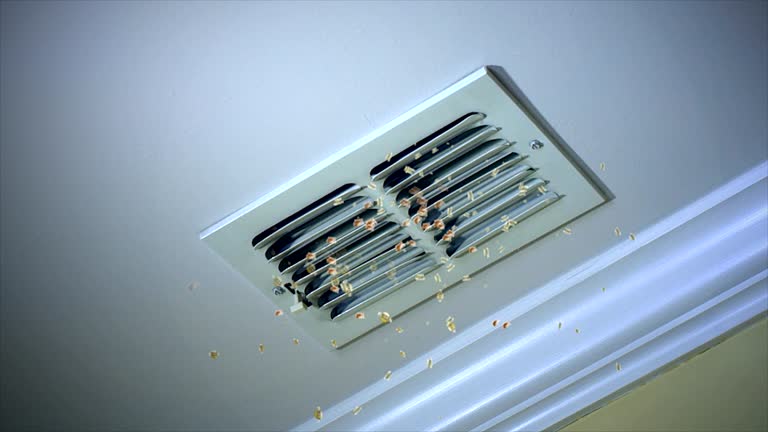 Best Air Duct Cleaning Near Me  in Scott Af, IL